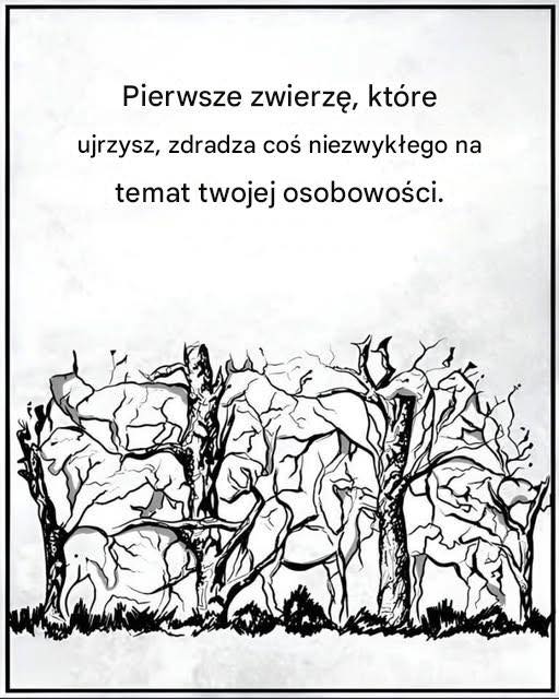 Pierwsze zwierzę, które zobaczysz, powie coś o Twojej osobowości. Artykuł w pierwszym komentarzu