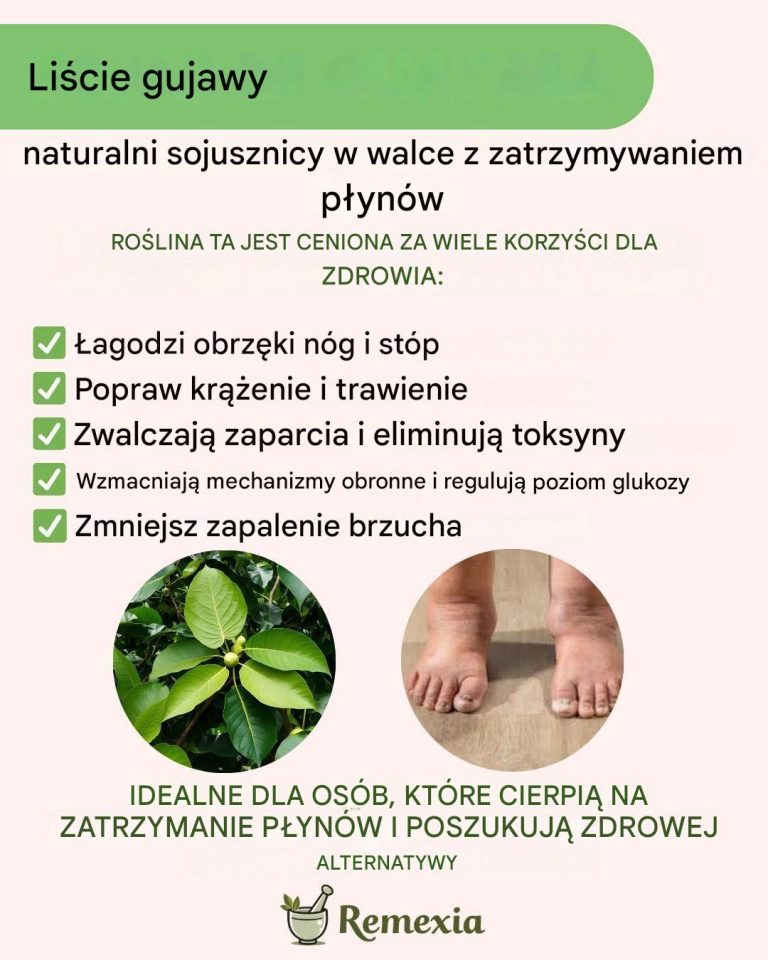 Napar z liści guawy: naturalny środek o wielu zaletach – przepis krok po kroku